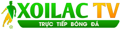 Mẫu đơn Xin Ly Hôn - mu đẹp